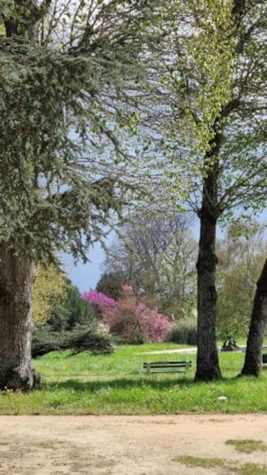 Pavillon Des Ecureuils Au Chateau Royal De Benays Benais エクステリア 写真