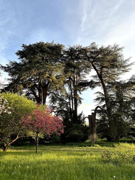 Pavillon Des Ecureuils Au Chateau Royal De Benays Benais エクステリア 写真