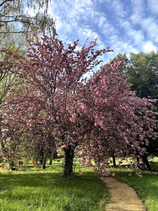 Pavillon Des Ecureuils Au Chateau Royal De Benays Benais エクステリア 写真