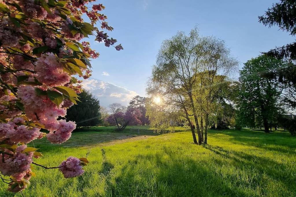 Pavillon Des Ecureuils Au Chateau Royal De Benays Benais エクステリア 写真